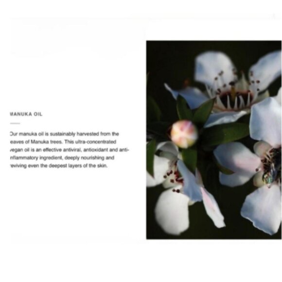 Cannuka Cannaluxe Manuka Honey Dream Cream Night Time Moisturizer RT$78 Natural - Picture 6 of 6